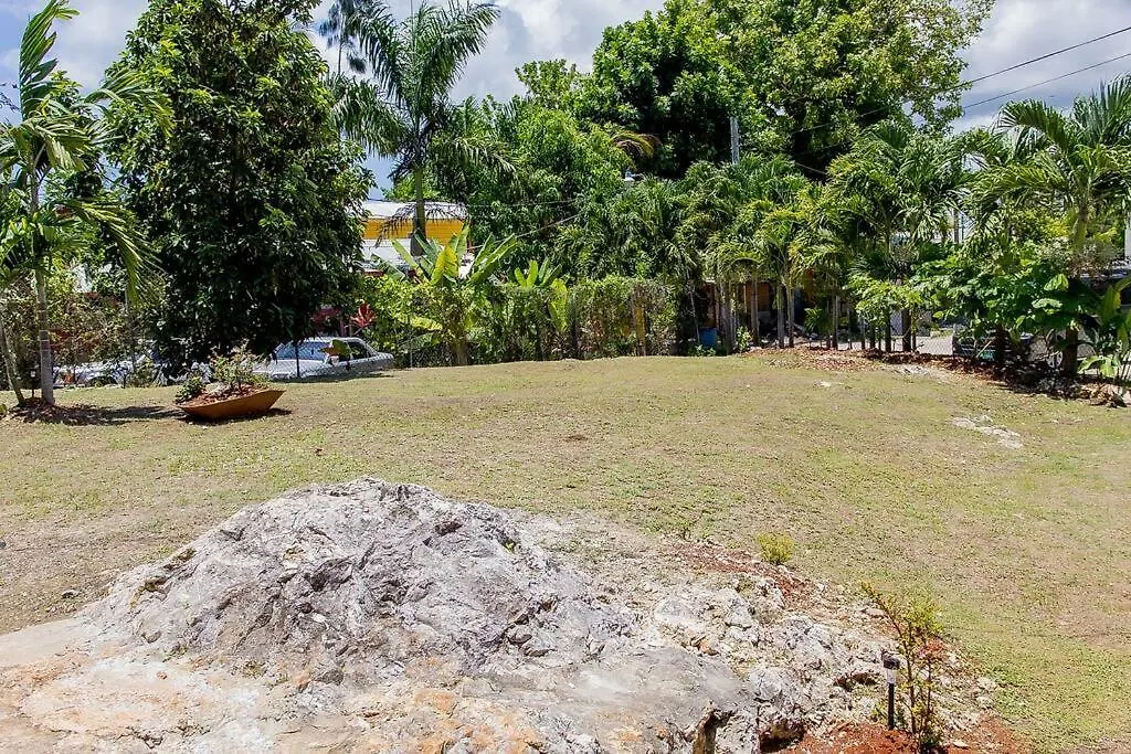 Villa Cozy Cottage With Nature Views & Modern Amenities Negril Jamaica